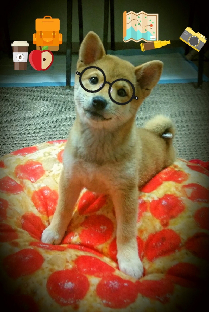 圣殿与疆场,蒙特卡洛的红土圣殿如何完胜国家疆场的戴维斯杯