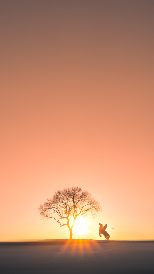 爱游戏下载-马德里竞技，钢铁意志碾压瑞士钟表，范戴克一锤定音点燃伯纳乌