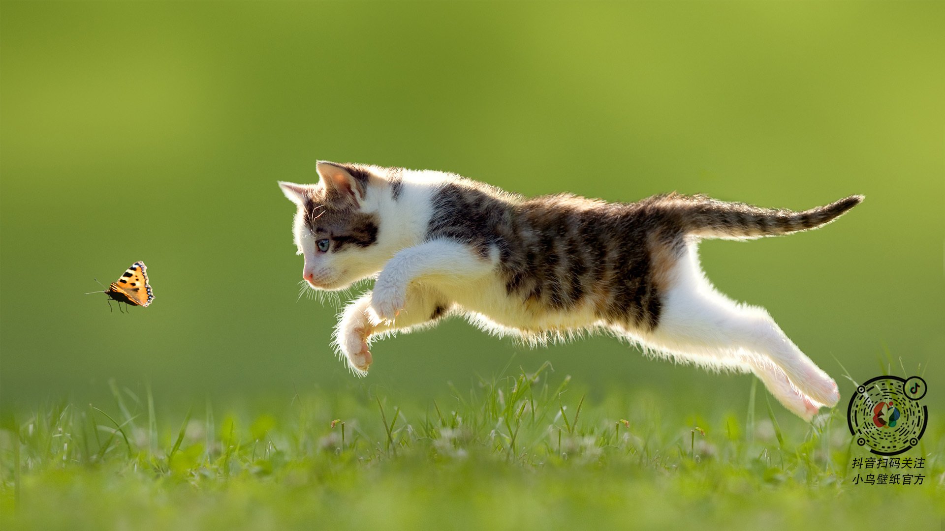 马德里竞技，钢铁意志碾压瑞士钟表，范戴克一锤定音点燃伯纳乌