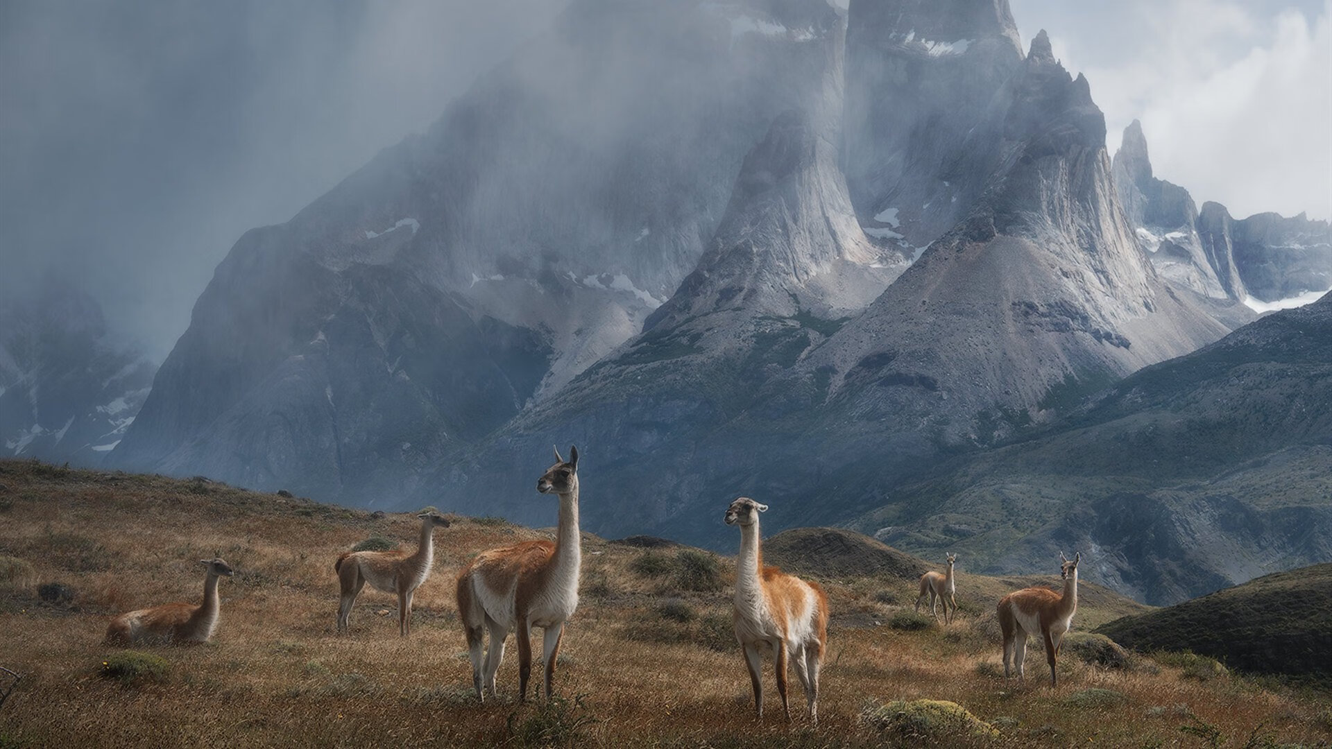 双城记，从德甲争冠到掘金启示—东西半球的竞技高压学