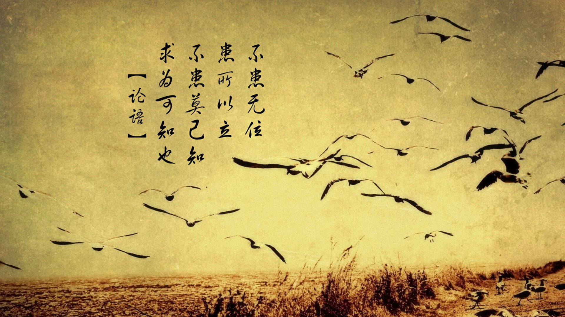 爱游戏官方入口-绿茵双面镜，国家德比的刀光，与葡萄牙刺破瑞典的剑影