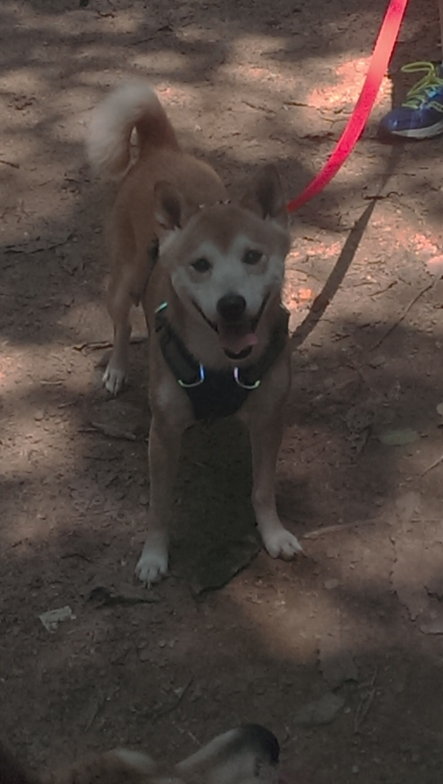 诺坎普的星辰陨落前，他用一粒绝杀重新丈量银河