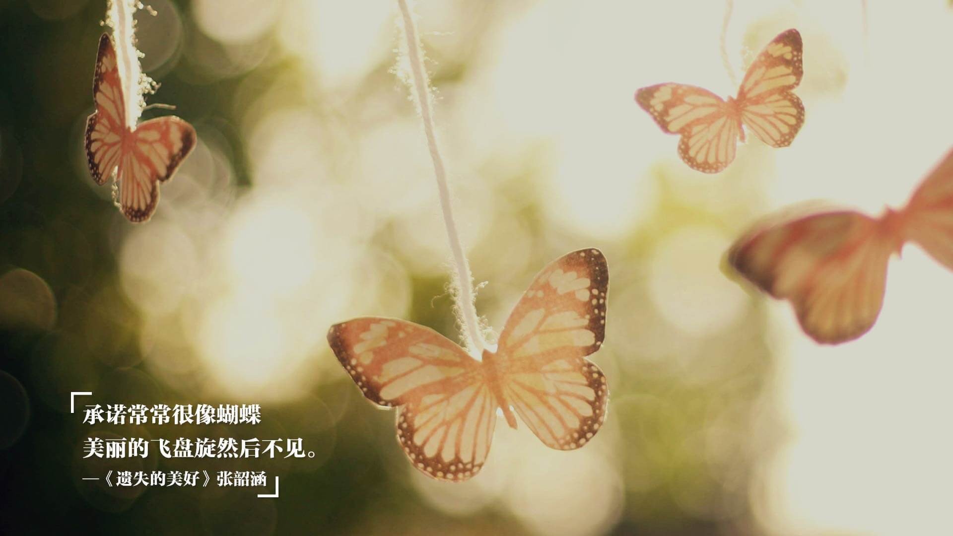 续写传奇，从欧冠史诗到CBA争冠，巅峰对决诠释何为冠军之心