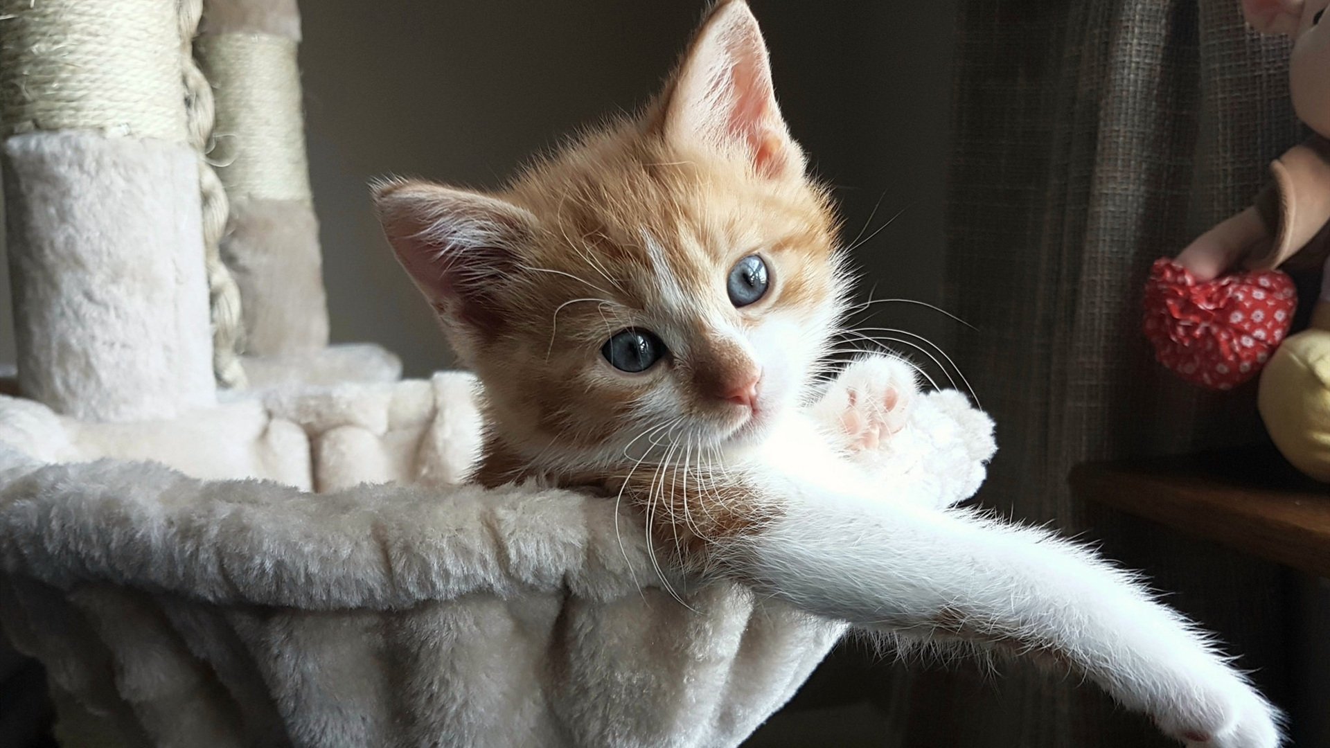 街道的弯道与世界杯的点球，体育唯一性的双重奏