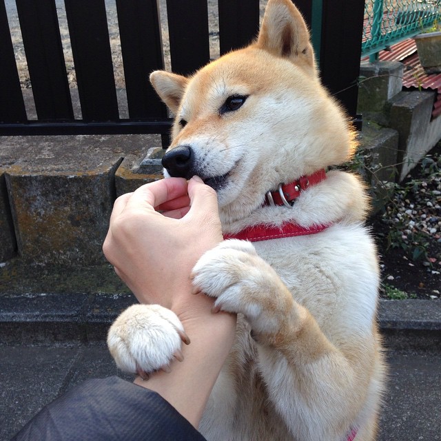 维度撕裂时，欧文的节奏成为唯一主宰，当76人与新疆队同时开打