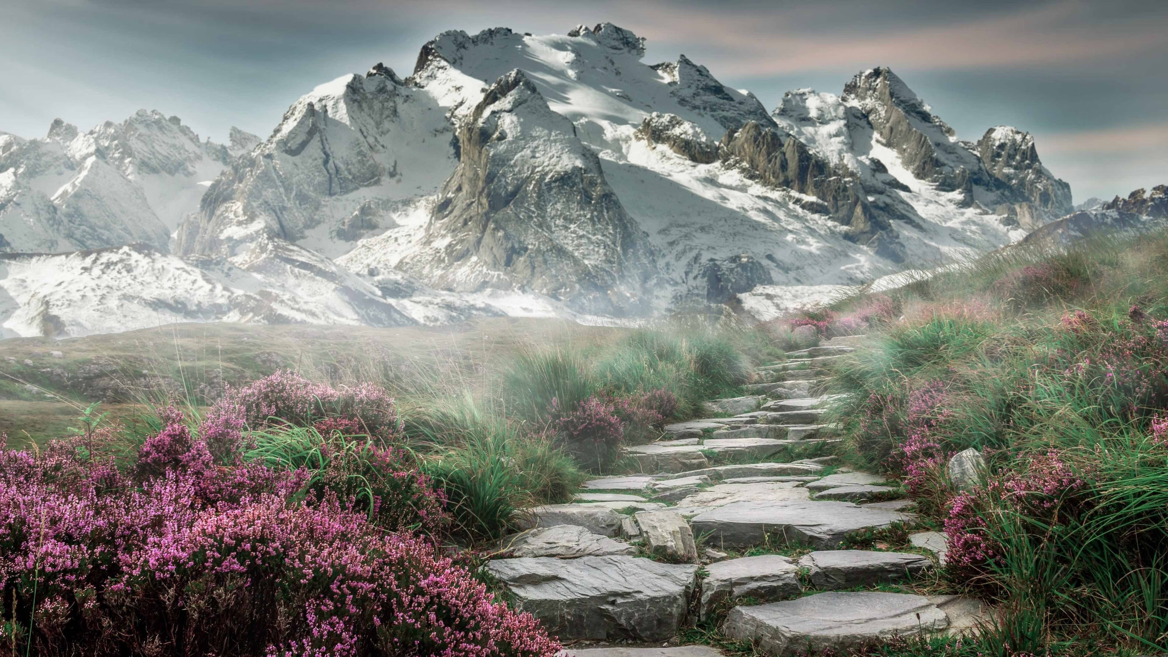 当东方雄狮遇见费城之光，一场跨越现实的篮球对话