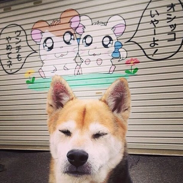 爱游戏APP-一球穿云，百年留名，当厄瓜多尔打穿拉齐奥的战术板刻上阿拉巴的里程碑