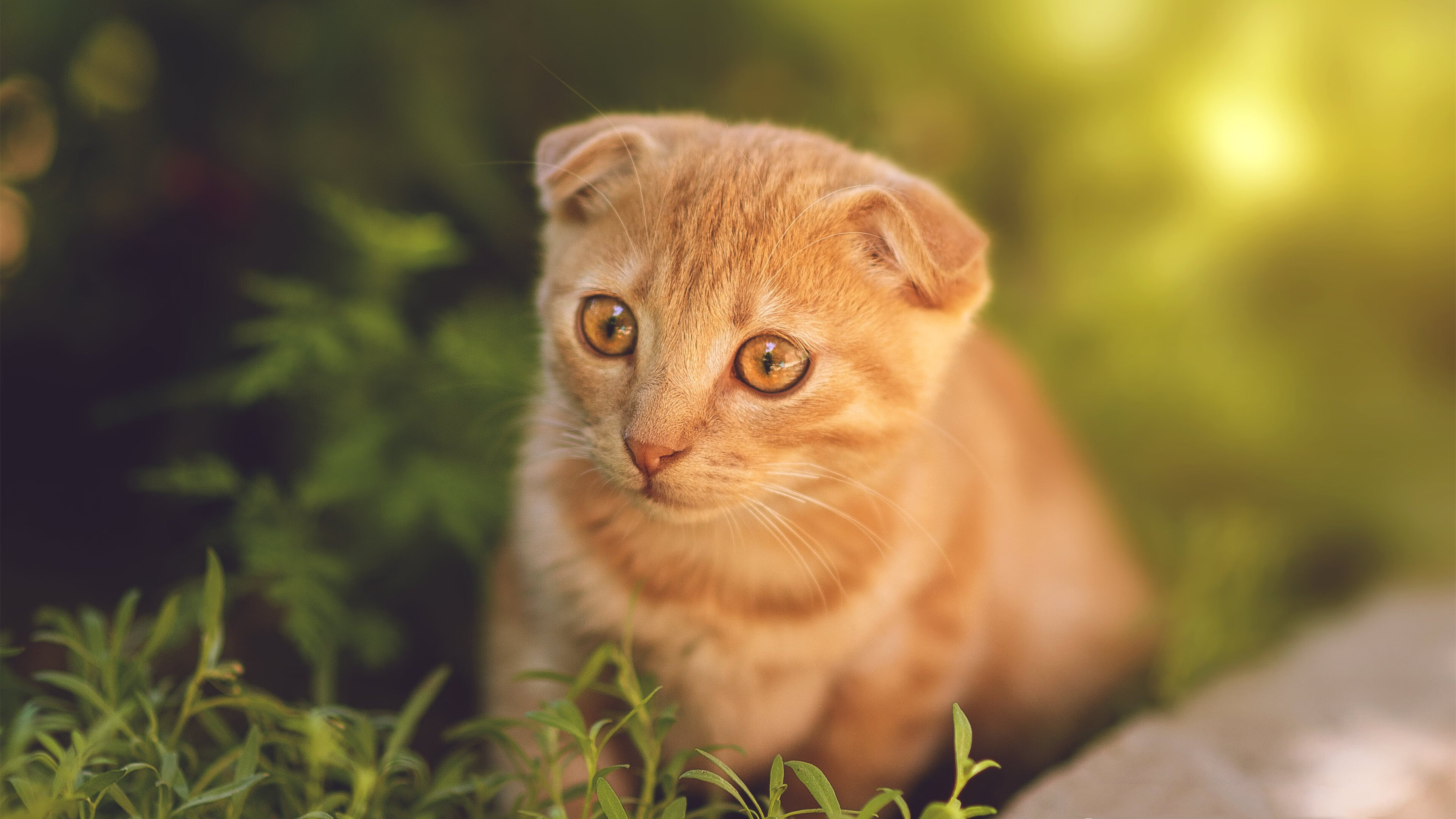 爱游戏官方入口-双城记，伯纳乌的闪电与印第安娜的铁血—当足球宇宙碰撞篮球星河