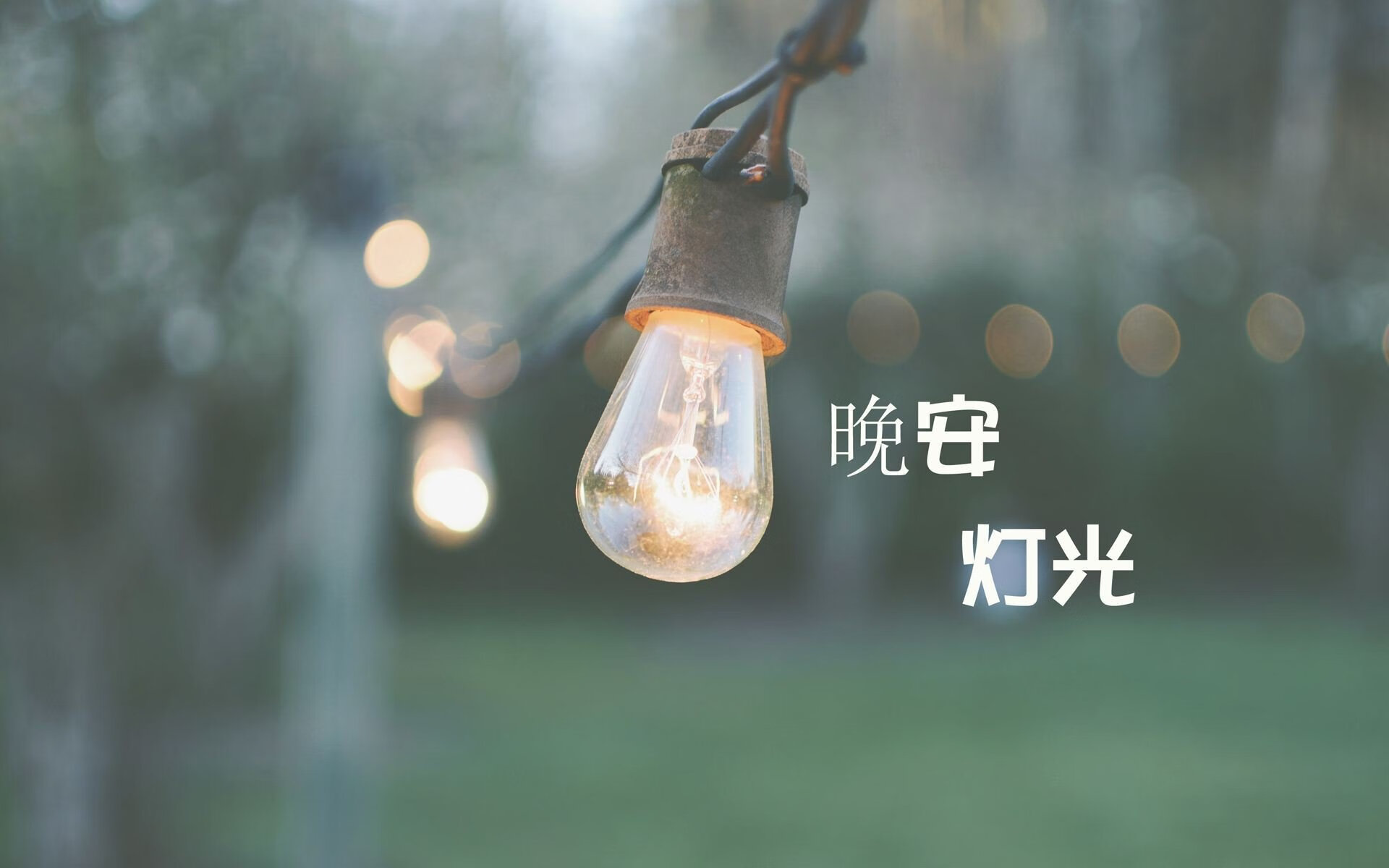 美洲雄狮震碎枫叶梦,喀麦隆碾压加拿大,布罗佐维奇掀起中场风暴
