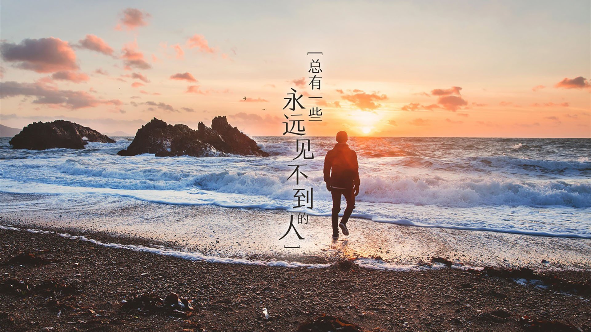 唯一的神迹,2026世界杯B组,哈兰德与门将共筑喀麦隆之墙,伊朗梦碎瞬间