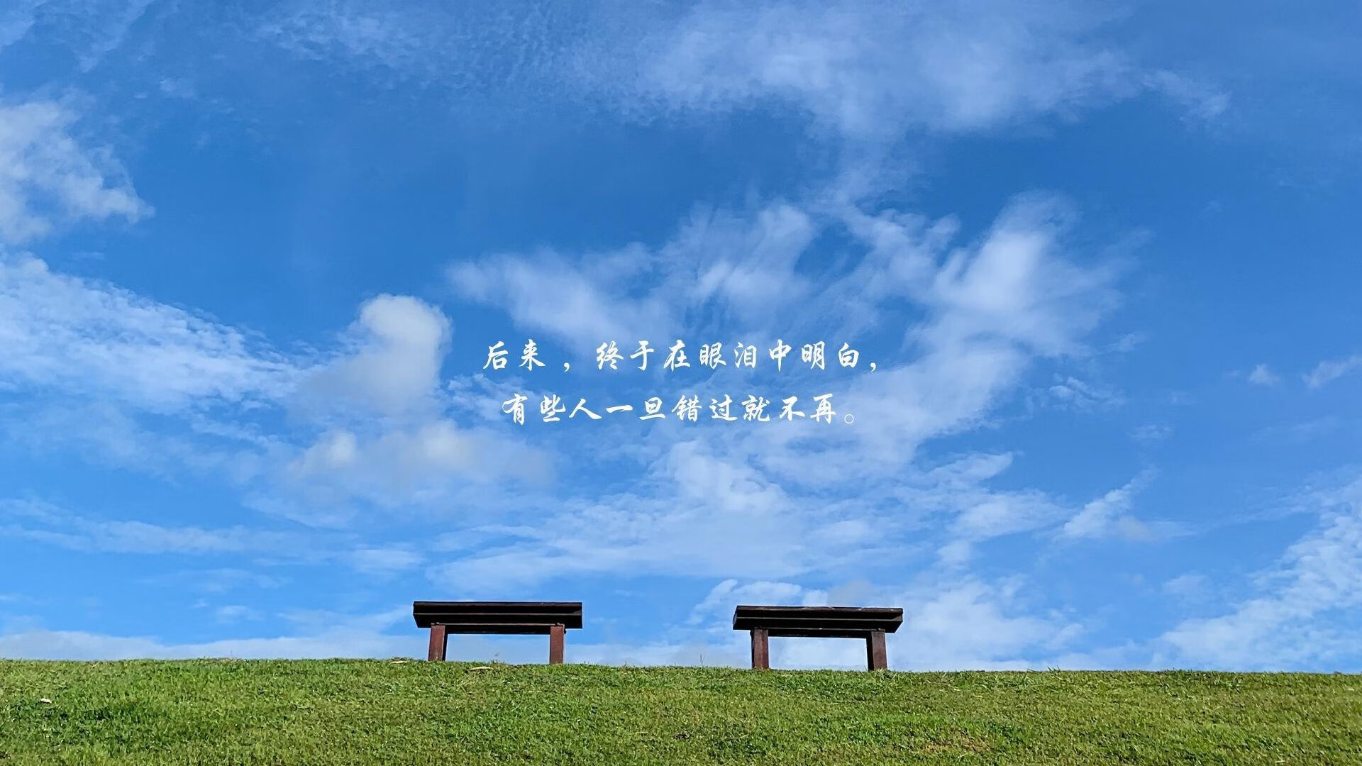 宿命对决的独白,2026世界杯D组,当荷兰的橙色风暴席卷罗马尼亚,穆西亚拉以天才之名照亮全场