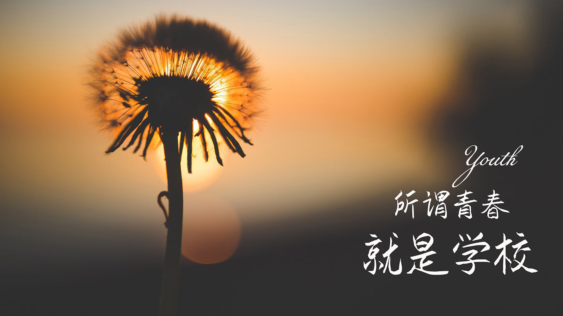爱游戏在线-唯一的神谕，2026，当德意志的钢铁意志在费利克斯的脚尖写下不可复制的剧本